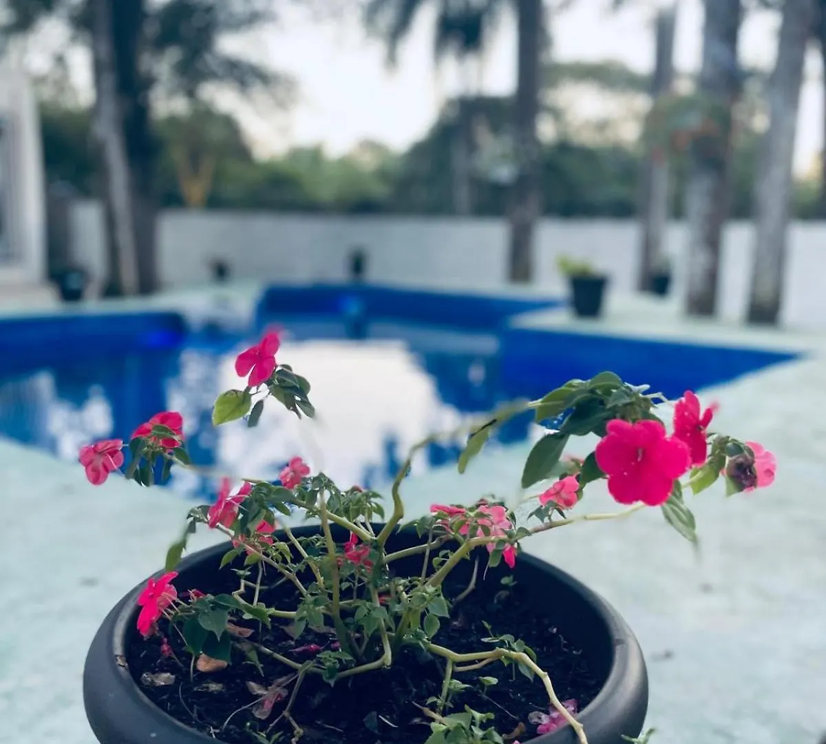 Villa La Casa De Las Flores San Cristobal ドミニカ共和国