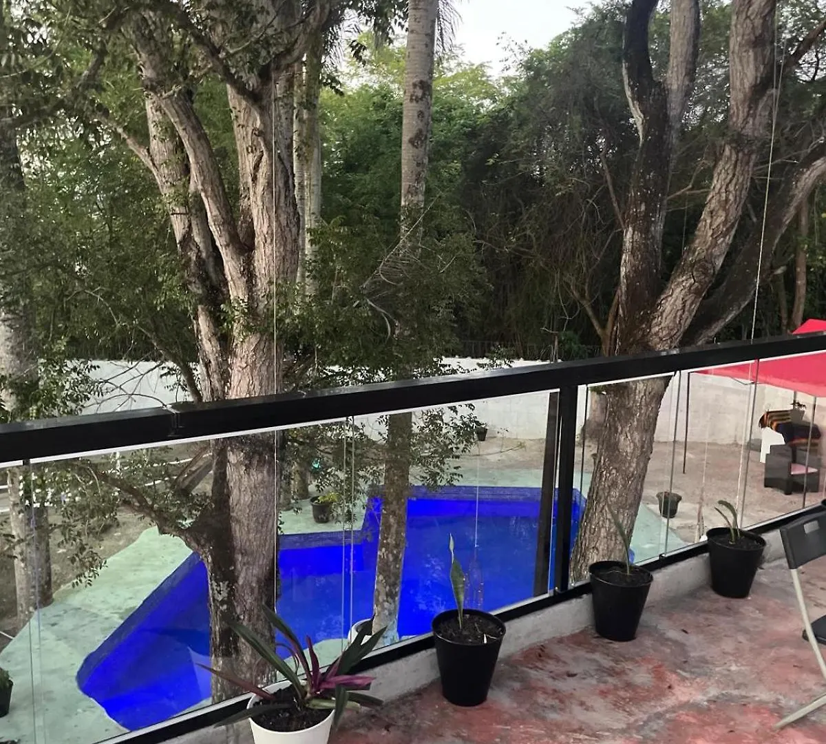 Villa La Casa De Las Flores San Cristobal جمهورية الدومينيكان